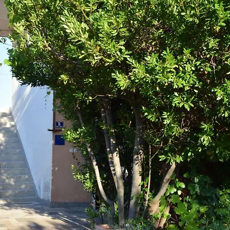 Haus Alfirev Ii Vodice